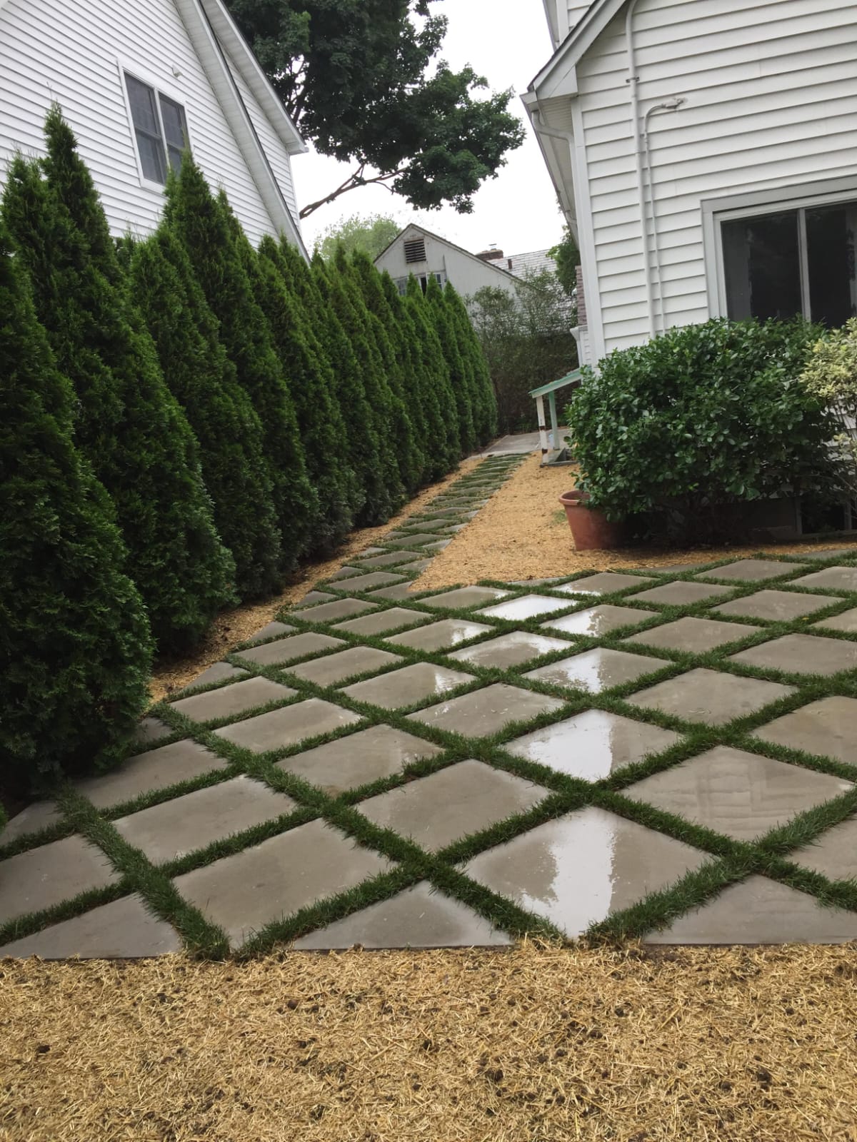 WhatsApp Image 2026-01-14 at 4.28.48 PM (4)